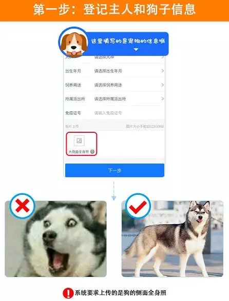 1544493330450413.jpg 640.webp (7).jpg